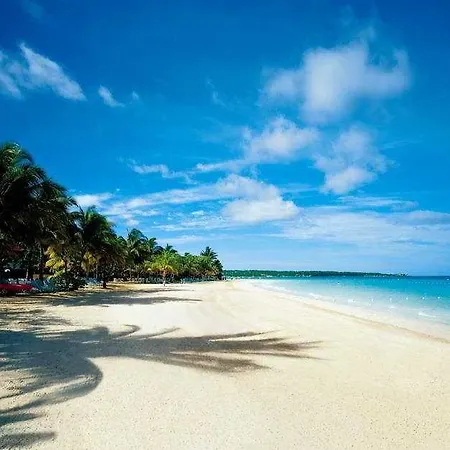 Couples Swept Away (Adults Only) 